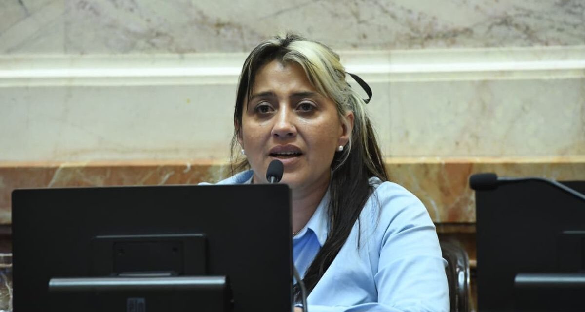 Una senadora cuestionó el acuerdo con Nación y advirtió por las tarifas