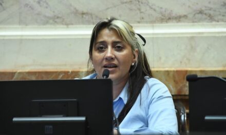 Una senadora cuestionó el acuerdo con Nación y advirtió por las tarifas