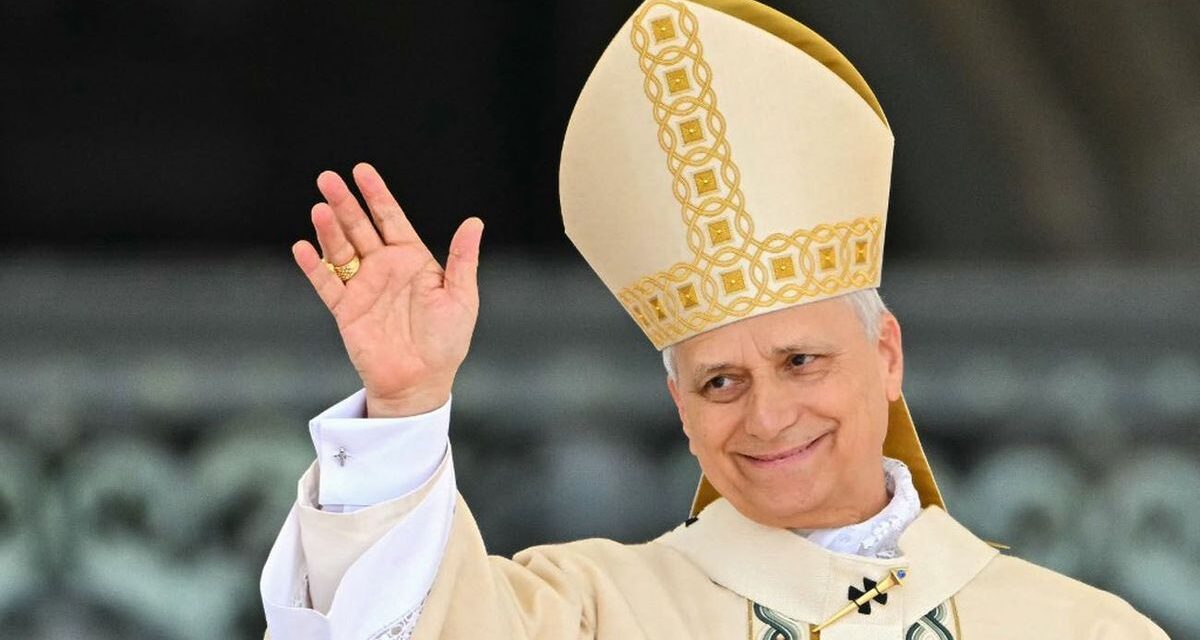 Día a día, todas las actividades del Papa