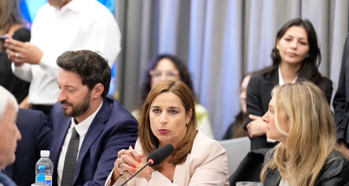 Una dirigente radical y actual funcionaria de Javier Milei disfrazó de cucarachas a todo el peronismo