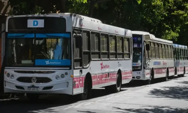 La Justicia ordenó levantar la retención de tareas y restablecer los colectivos