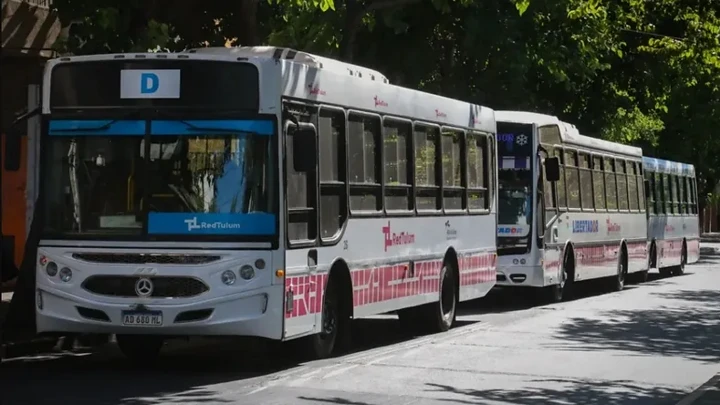 La Justicia ordenó levantar la retención de tareas y restablecer los colectivos