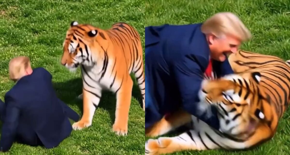 Indignación con Donald Trump por burlarse del ataque mortal de un tigre a un joven británico