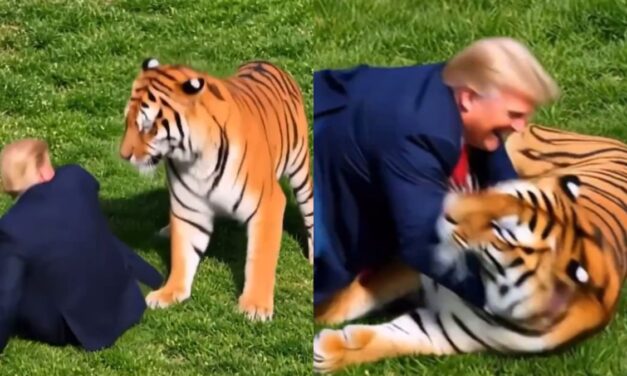 Indignación con Donald Trump por burlarse del ataque mortal de un tigre a un joven británico