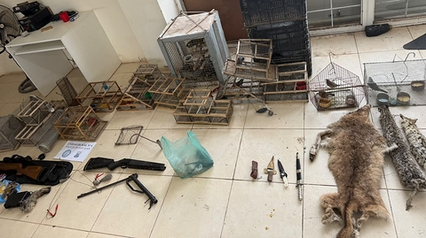 Dos detenidos tras allanamientos por armas y tenencia de fauna silvestre en Sarmiento