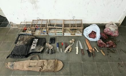 Detuvieron a un hombre en Albardón y secuestraron aves silvestres, cuchillos y carne en mal estado