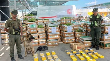 Arranca el juicio por los 64 kilos de cocaína ocultos en un camión de bananas en Rawson