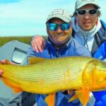 Tras los grandes cazadores del Delta: una jornada de pesca entre dorados y tarariras