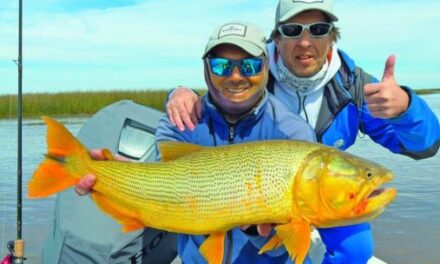 Tras los grandes cazadores del Delta: una jornada de pesca entre dorados y tarariras