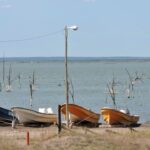Laguna Chasicó busca recuperar el pejerrey con una nueva siembra de 100 mil alevinos