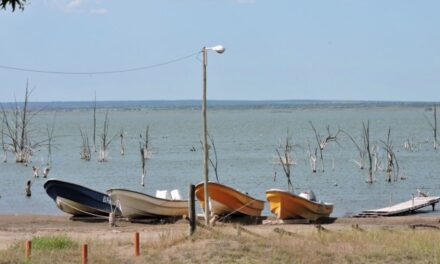 Laguna Chasicó busca recuperar el pejerrey con una nueva siembra de 100 mil alevinos