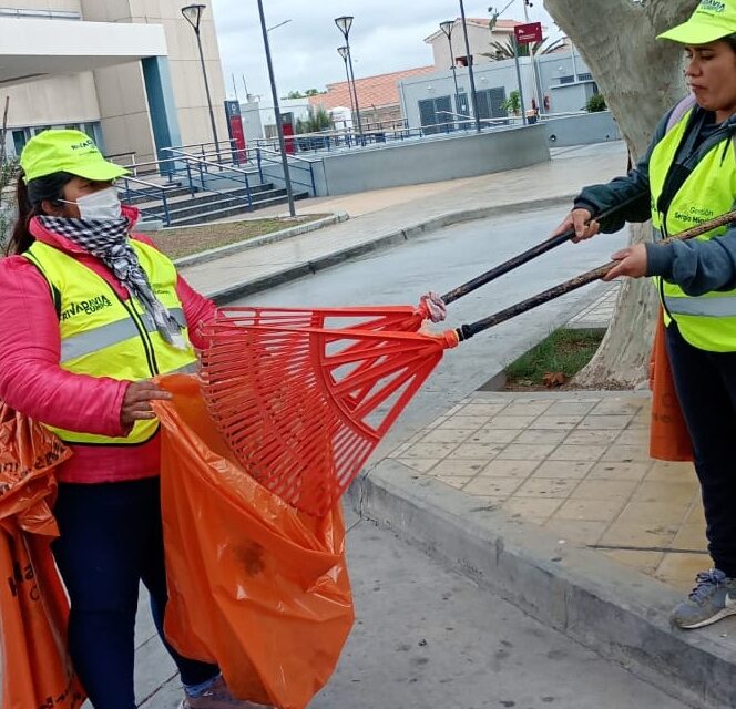 Rivadavia sostuvo la limpieza durante el fin de semana y retomó los trabajos este lunes