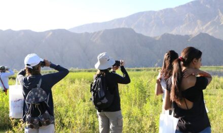 8 destinos para descubrir la naturaleza y vivir una aventura