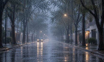 Lluvias intensas: cómo circular sin riesgos y qué calles evitar