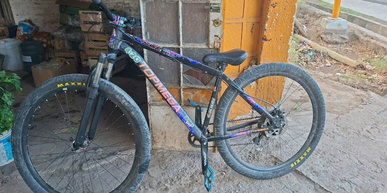 Dos jóvenes fueron detenidos tras un intento de robo de una bicicleta en Santa Lucía