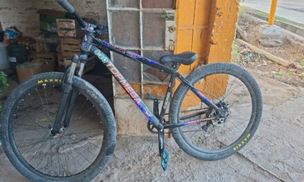 Dos jóvenes fueron detenidos tras un intento de robo de una bicicleta en Santa Lucía