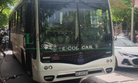 ÚLTIMO MOMENTO (video): detuvieron a un hombre por provocar destrozos en un colectivo de la línea 101
