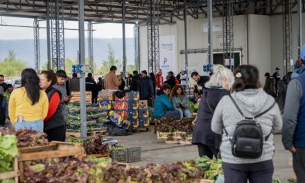Pocito inauguró una Feria Frutihortícola para fortalecer a los productores locales
