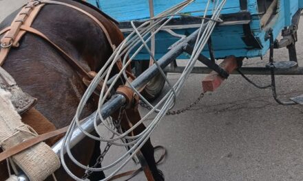 Lo sorprendieron robando barras de hierro de una obra y lo interceptaron con la carga