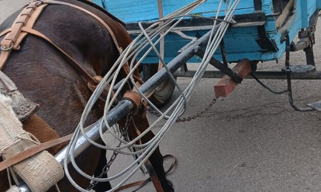 Lo sorprendieron robando barras de hierro de una obra y lo interceptaron con la carga