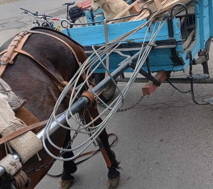 Lo sorprendieron robando barras de hierro de una obra y lo interceptaron con la carga