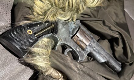 Robó una moto a punta de pistola, disparó contra policías y terminó detenido en Chimbas