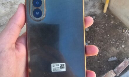 Recuperaron un celular y una bicicleta robados en Caucete y los devolvieron a sus dueños