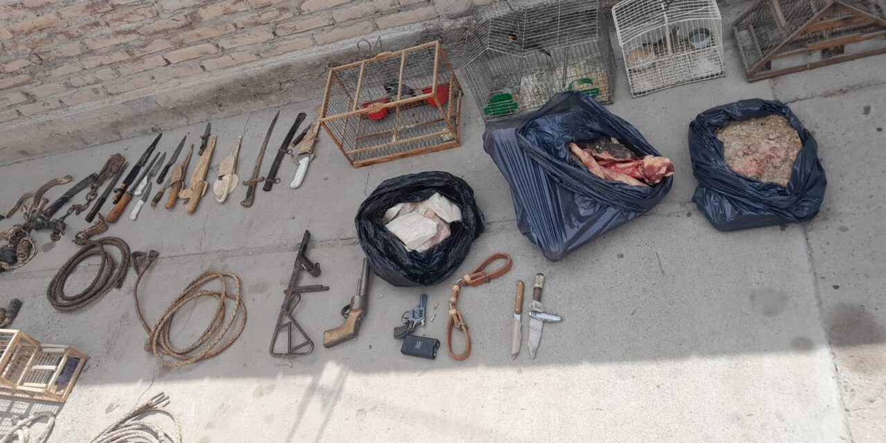Albardón: secuestraron carne de guanaco y cuatro aves silvestres en allanamientos