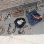 Albardón: secuestraron carne de guanaco y cuatro aves silvestres en allanamientos