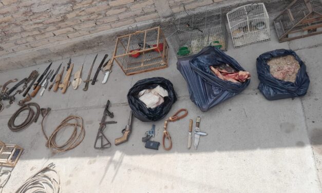 Albardón: secuestraron carne de guanaco y cuatro aves silvestres en allanamientos