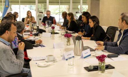 La falta de medicamentos para pacientes con Parkinson llegó al Consejo Federal de Discapacidad