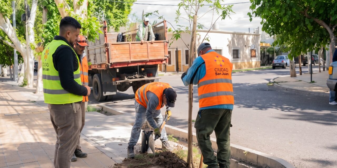La Capital ya plantó 502 árboles y busca llegar a los 1.000 antes de fin de año