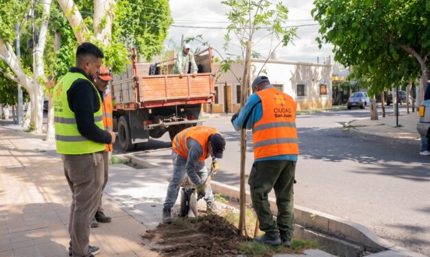 La Capital ya plantó 502 árboles y busca llegar a los 1.000 antes de fin de año