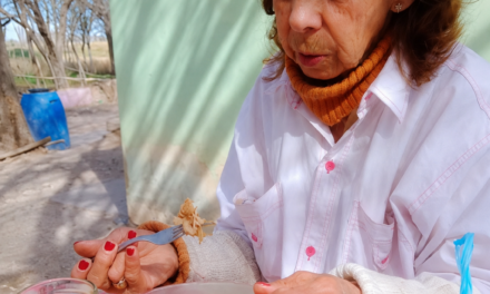 Buscan a una mujer de 79 años que desapareció este lunes