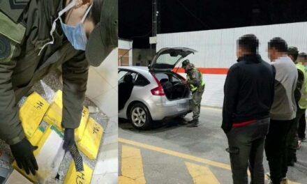 Un perro detector descubrió un cargamento de casi 7,5 kilos de cocaína en Sarmiento