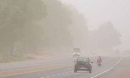 Todas las rutas nacionales están transitables, pero piden precaución por hielo y niebla