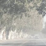 Alerta amarilla por viento Zonda: Calingasta espera ráfagas que podrían superar los 70 km/h