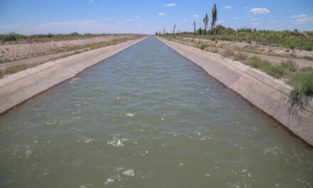 Dramático rescate en Albardón: un hombre cayó al canal y fue salvado antes de ser arrastrado por la corriente