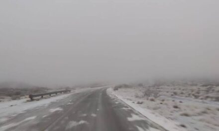 Hielo y niebla complican la circulación en rutas de la provincia: dónde extremar cuidados