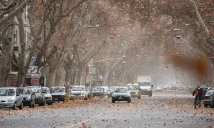 URGENTE: Por el viento Zonda, suspenden las clases desde las 13 en toda la provincia