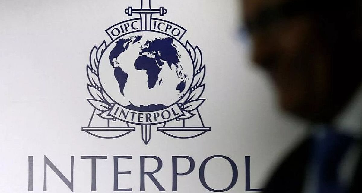 Interpol incautó más de 1.000 animales y detuvo a 233 personas en América Latina