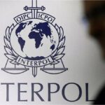 Interpol incautó más de 1.000 animales y detuvo a 233 personas en América Latina