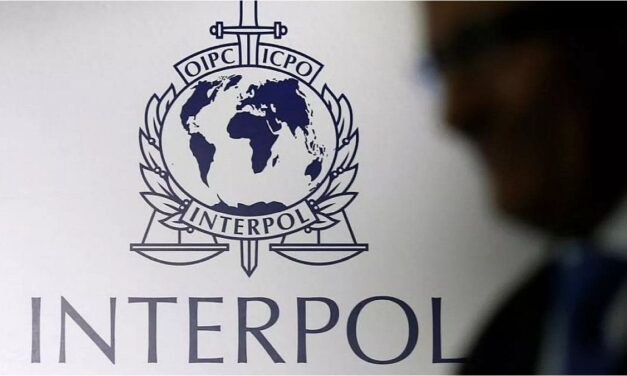 Interpol incautó más de 1.000 animales y detuvo a 233 personas en América Latina