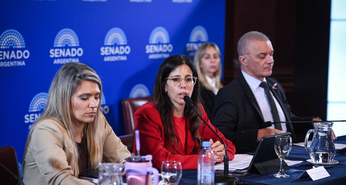 El Gobierno avanzó en el Senado con la reforma de la ley de Salud Mental