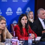 El Gobierno avanzó en el Senado con la reforma de la ley de Salud Mental