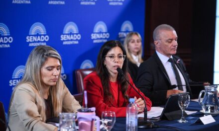 El Gobierno avanzó en el Senado con la reforma de la ley de Salud Mental