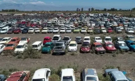 El Gobierno quiere liberar espacio en el depósito de 9 de Julio con remates y compactación