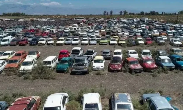 El Gobierno quiere liberar espacio en el depósito de 9 de Julio con remates y compactación