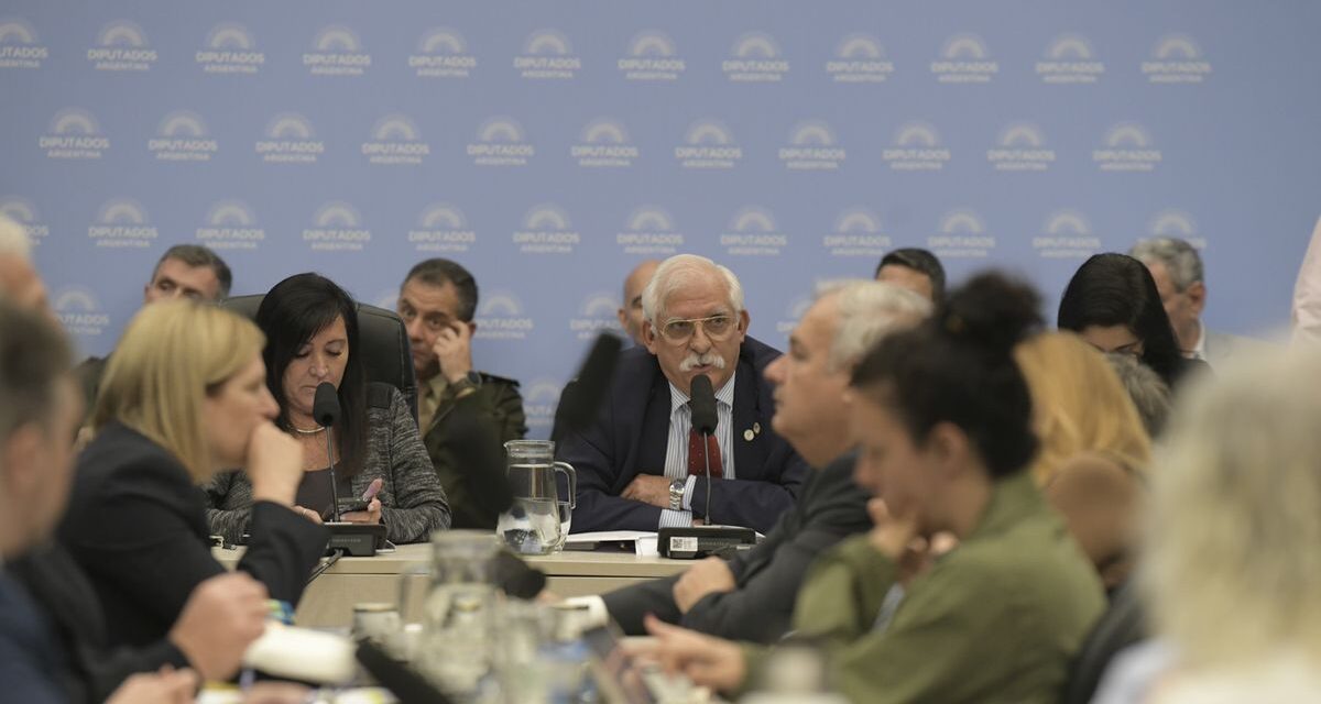 La oposición en Diputados pide fragmentar la ley de Defensa de la Soberanía Nacional para dar su apoyo