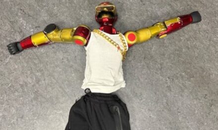 Investigan a los dueños de un robot por un presunto caso de acoso sexual a una adolescente en Alemania